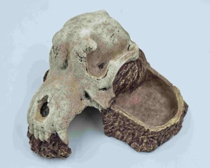 URS Wolf Skull Hide with Bowl